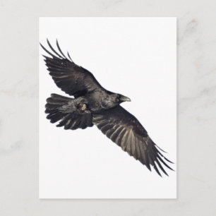 Postal Flying Crow