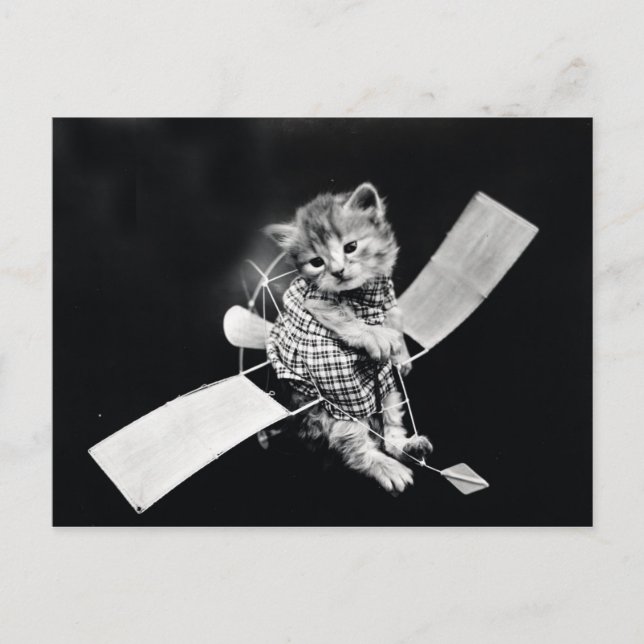 Postal Flying Kitty Vintage Black and White (Anverso)