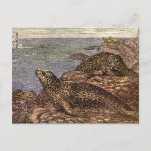 Postal Focas de Puerto, Animales Marinos de la Vida Marin