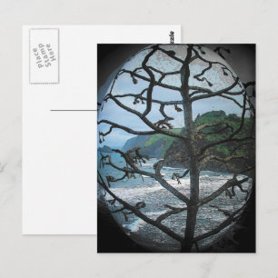 Postal Foco de la foto del árbol hawaiano de la playa oce