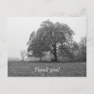 Postal Foggy Autumn Morning Grayscale