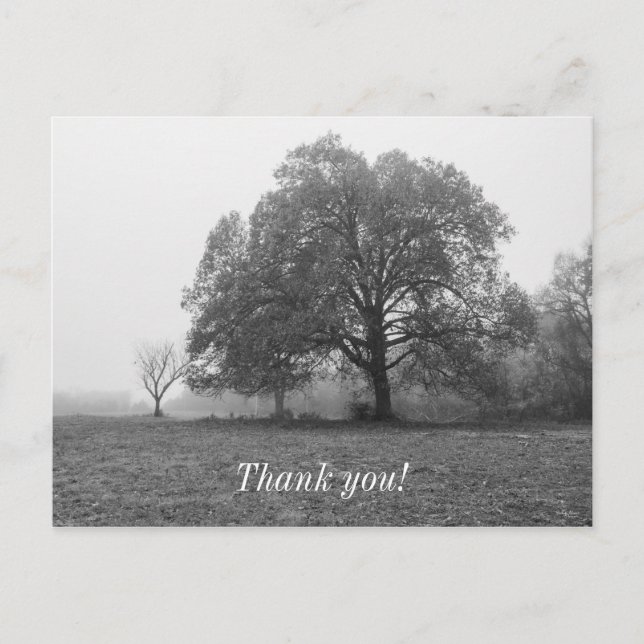 Postal Foggy Autumn Morning Grayscale (Anverso)