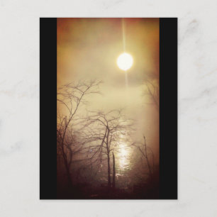 Postal Foggy Morning