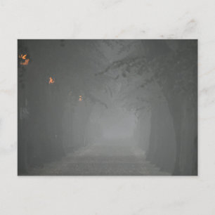 Postal Foggy Morning