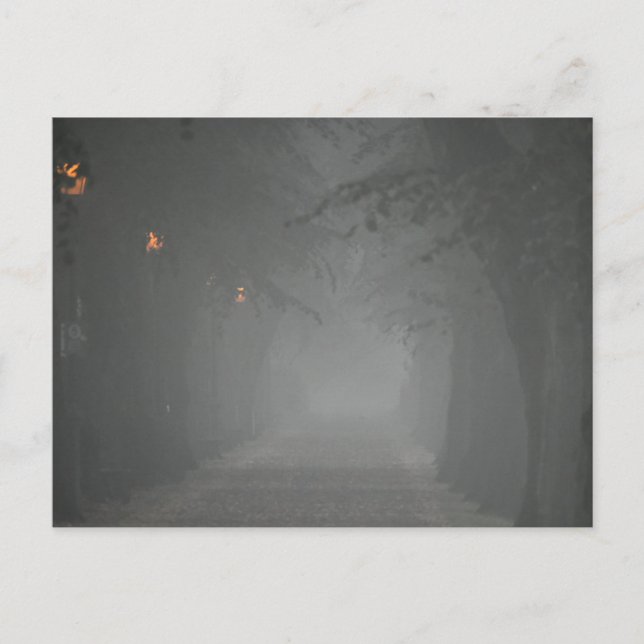 Postal Foggy Morning (Anverso)