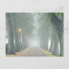 Postal Foggy Morning