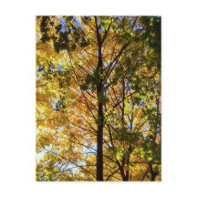 Foliage amarillo y verde otoño