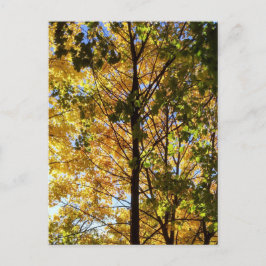 Postal Foliage amarillo y verde otoño