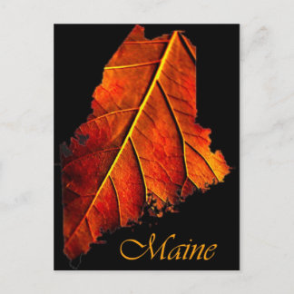Postal Foliage de foto de Maine Fall | Foliage de Maine O