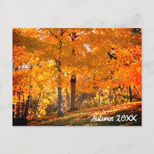 Postal Foliage de otoño