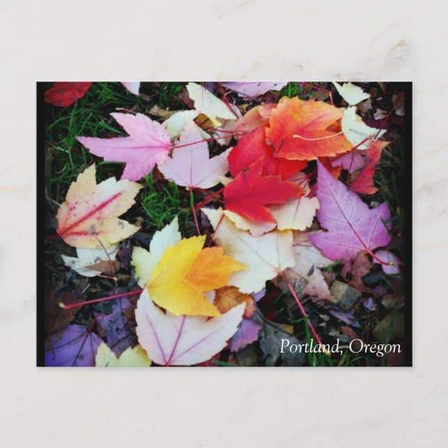 Postal Foliage de otoño (Anverso)