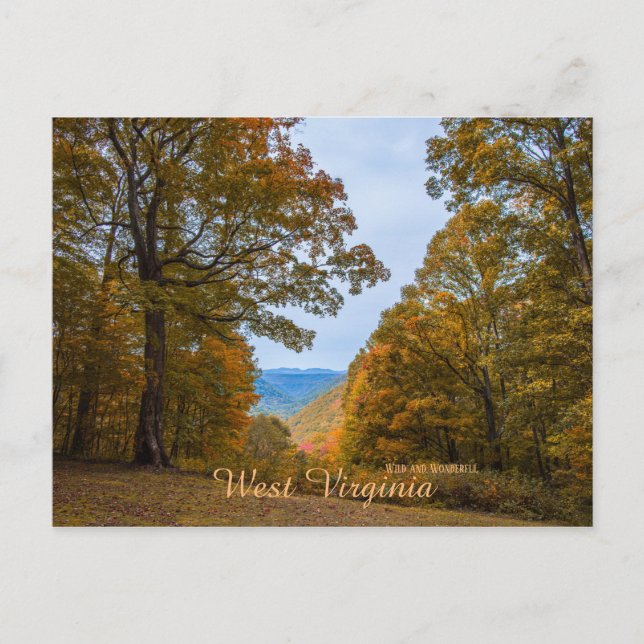 Postal Foliage de West Virginia Wild and Wonmaravilloso F (Anverso)