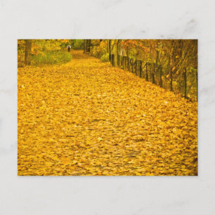 POSTAL FOLIAGE DEL OTOÑO VAN CORTLANDT PARK NUEVA YORK