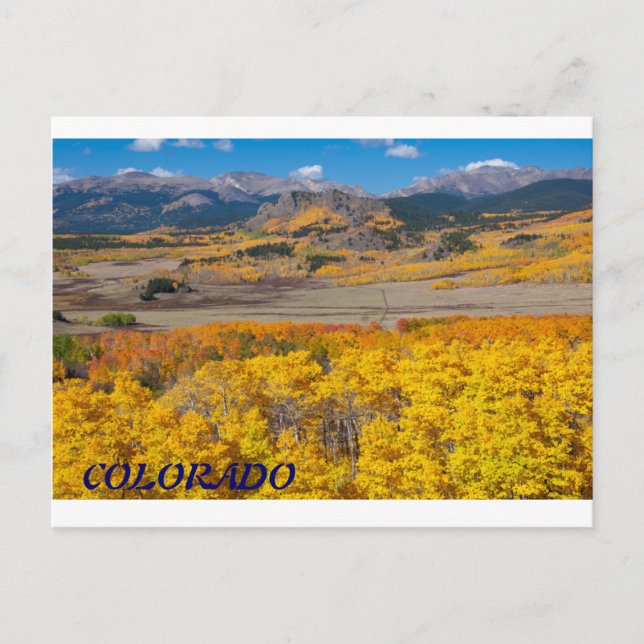 Postal Foliage escénico de Colorado (Anverso)