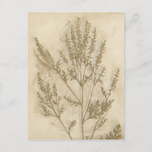 Postal Foliage II dorado