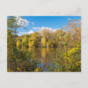 Postal Foliage otoñal a lo largo del río Minnesota