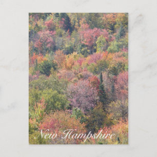 Postal Foliage otoño, Parque Estatal Franconia Notch, NH