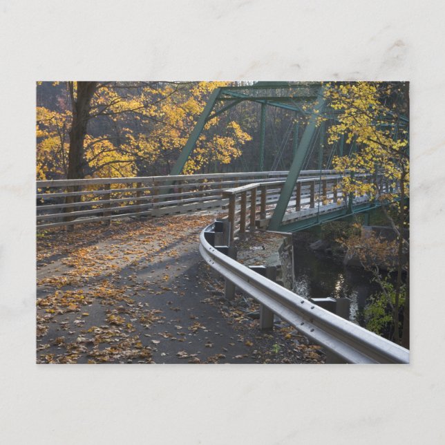 Postal Follaje de otoño y un puente sobre el Millers (Anverso)