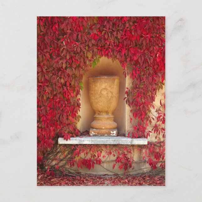 Postal Follaje rojo otoñal, Nueva Zelanda (Anverso)