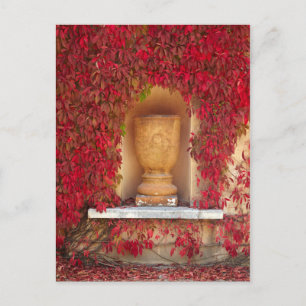 Postal Follaje rojo otoñal, Nueva Zelanda