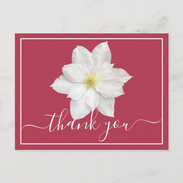 Postal Fondo de Crimación de Flores Blancas Clematis (Anverso)