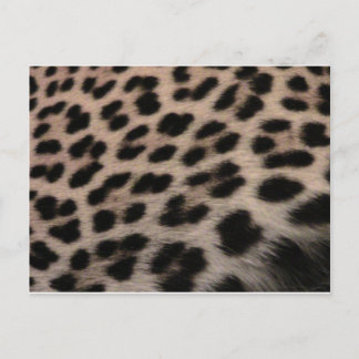 Postal Fondo de impresión de leopardo