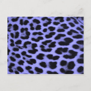 Postal Fondo de impresión del leopardo azul