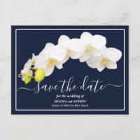 Fondo De La Marina De Las Orquídeas Blancas Guarda