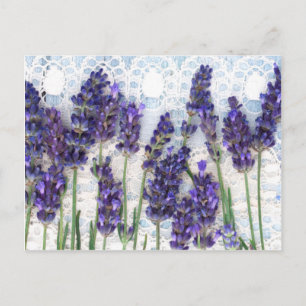 Postal fondo de lavanda