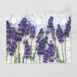 Postal fondo de lavanda