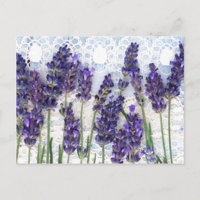 Postal fondo de lavanda (Anverso)