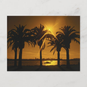 Postal Fondo del cielo tropical