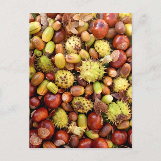 Postal Fondo del otoño (Anverso)