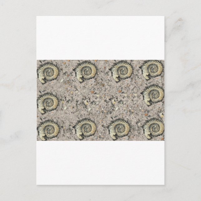 Postal fondo fósil (Anverso)