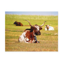 Fonolocalizador de bocinas grandes