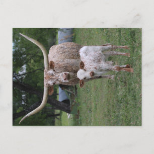 Postal Fonolocalizadores de bocinas grandes de Tejas