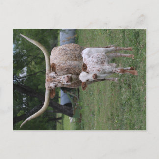 Postal Fonolocalizadores de bocinas grandes de Tejas