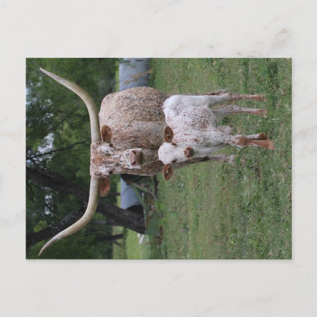 Postal Fonolocalizadores de bocinas grandes de Tejas (Anverso)