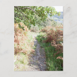 Postal Footpath Coniston England Card
