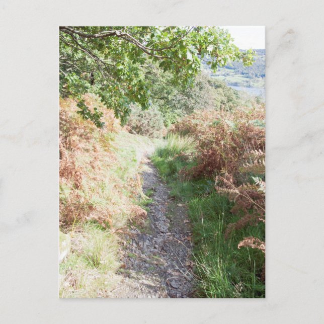 Postal Footpath Coniston England Card (Anverso)