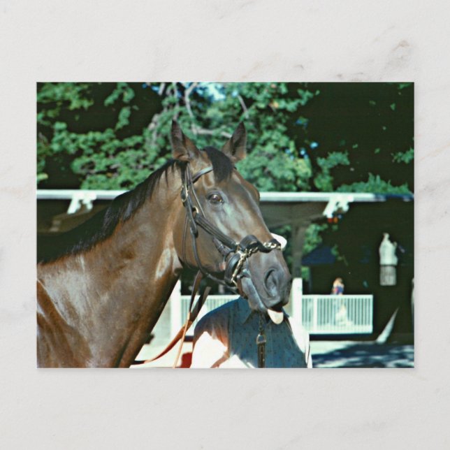 Postal Forego Racehorse 1977 (Anverso)