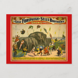 Postal Forepaugh y vende Poster del circo de los elefante