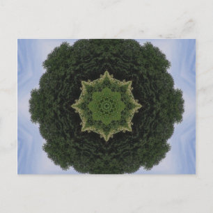 Postal Forest Mandala