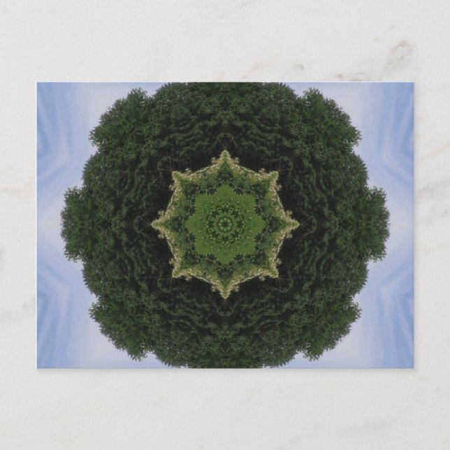 Postal Forest Mandala (Anverso)