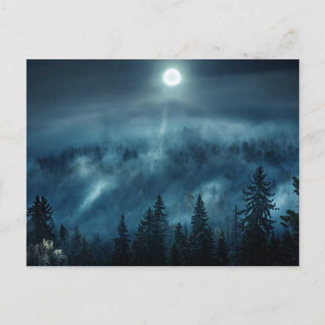 Postal Forests | Moonlit Forest (Anverso)