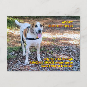 Postal Forever Home Amazing Grace