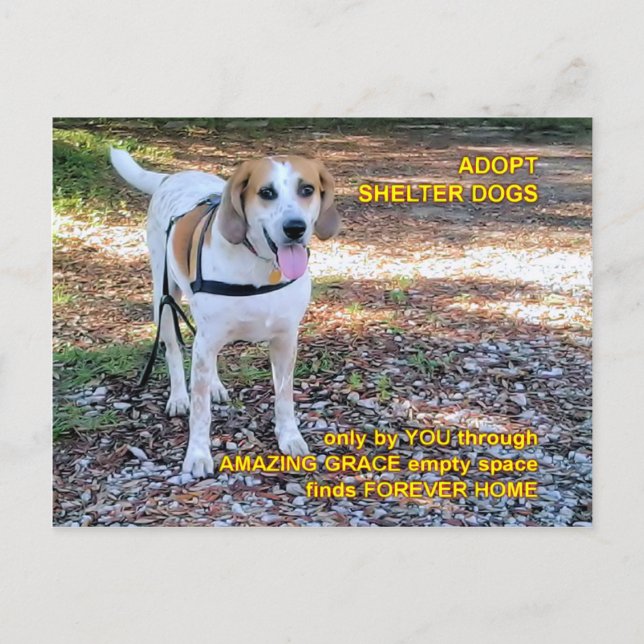 Postal Forever Home Amazing Grace (Anverso)