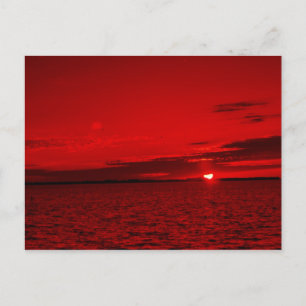 Postal Forever Scarlet