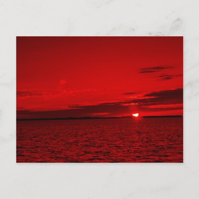 Postal Forever Scarlet (Anverso)