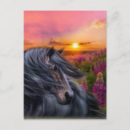 Postal Forever Wild Black Horse